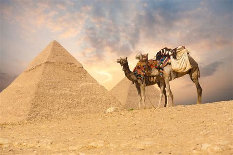  Le Zahir et la Lance Enchantée: Un Voyage Mystique à Travers les Mystères de l’Egypte du XVIIIe Siècle !