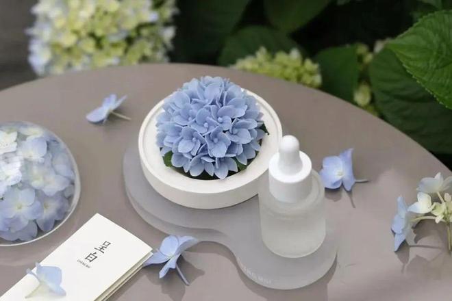 山小猪妖的葫芦来啦!正版授权世间温柔不朽情缘游戏平台福禄随身香气常在浪浪(图5) 山小猪妖的葫芦来啦!正版授权世间温柔不朽情缘游戏平台福禄随身香气常在浪浪(图5)